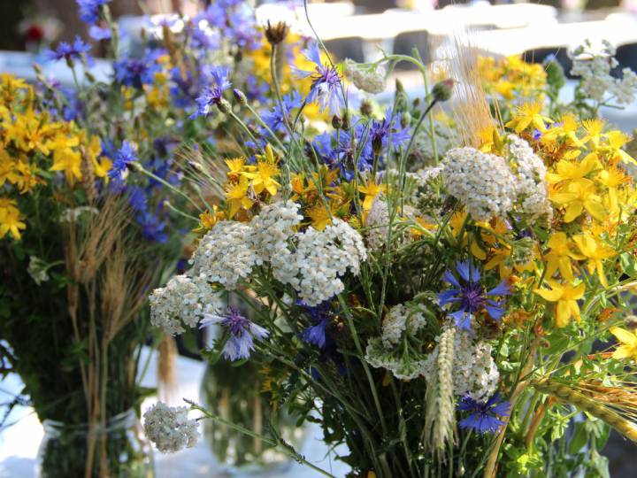 Sommerempfang 2019 beim TKW Nienburg: Jazz meets Summerfeeling - Bild 14